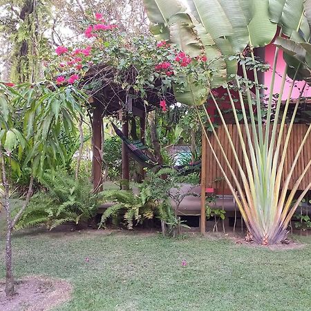 Апартаменты Pachamama Flats - Taipu De Fora Барра-Гранде Экстерьер фото